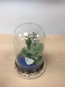 Terrarium team bonding
