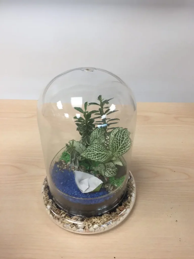 Terrarium team bonding