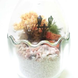 Terrarium Assorted Series - TAS 05