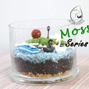 Exclusive Moss Series - EMS01