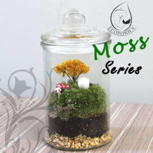 Moss Series - MS01