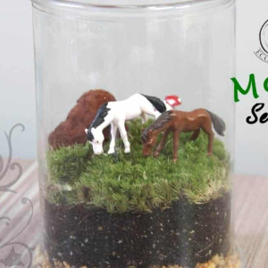 Moss Series - MS04
