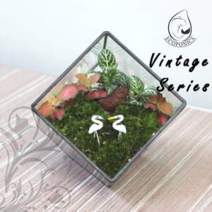 Vintage Series - VS 02