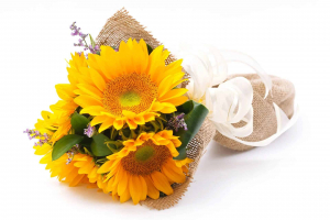 Online Workshops Singapore