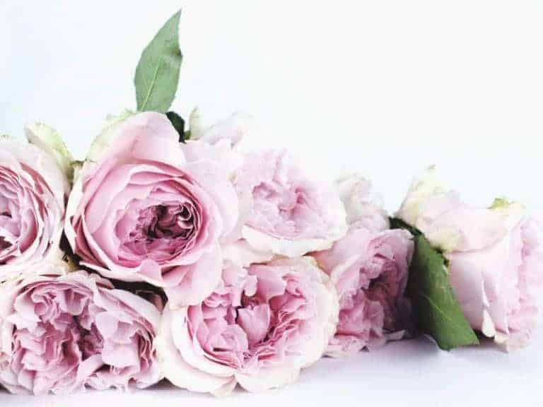 Posy Bouquet Workshop - Epic Workshops