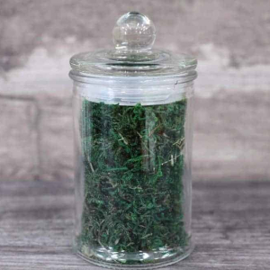 Decorative Green Moss
