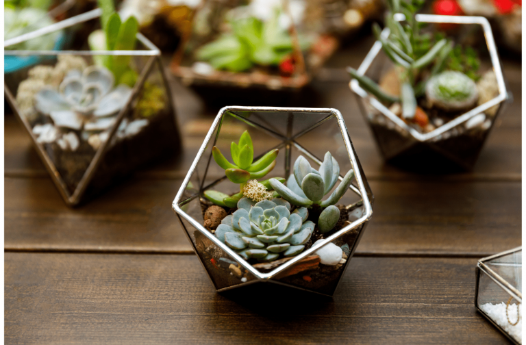 Terrarium Workshop in Singapore