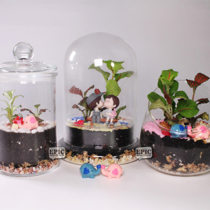 Studio Workshop - Terrarium Workshops