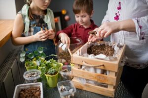 terrarium workshop singapore