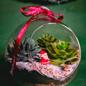 Xmas Succulent Hanging Bauble Terrarium
