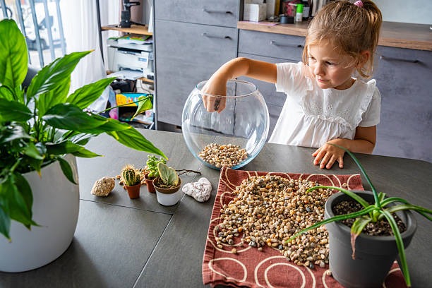 Terrarium Workshops