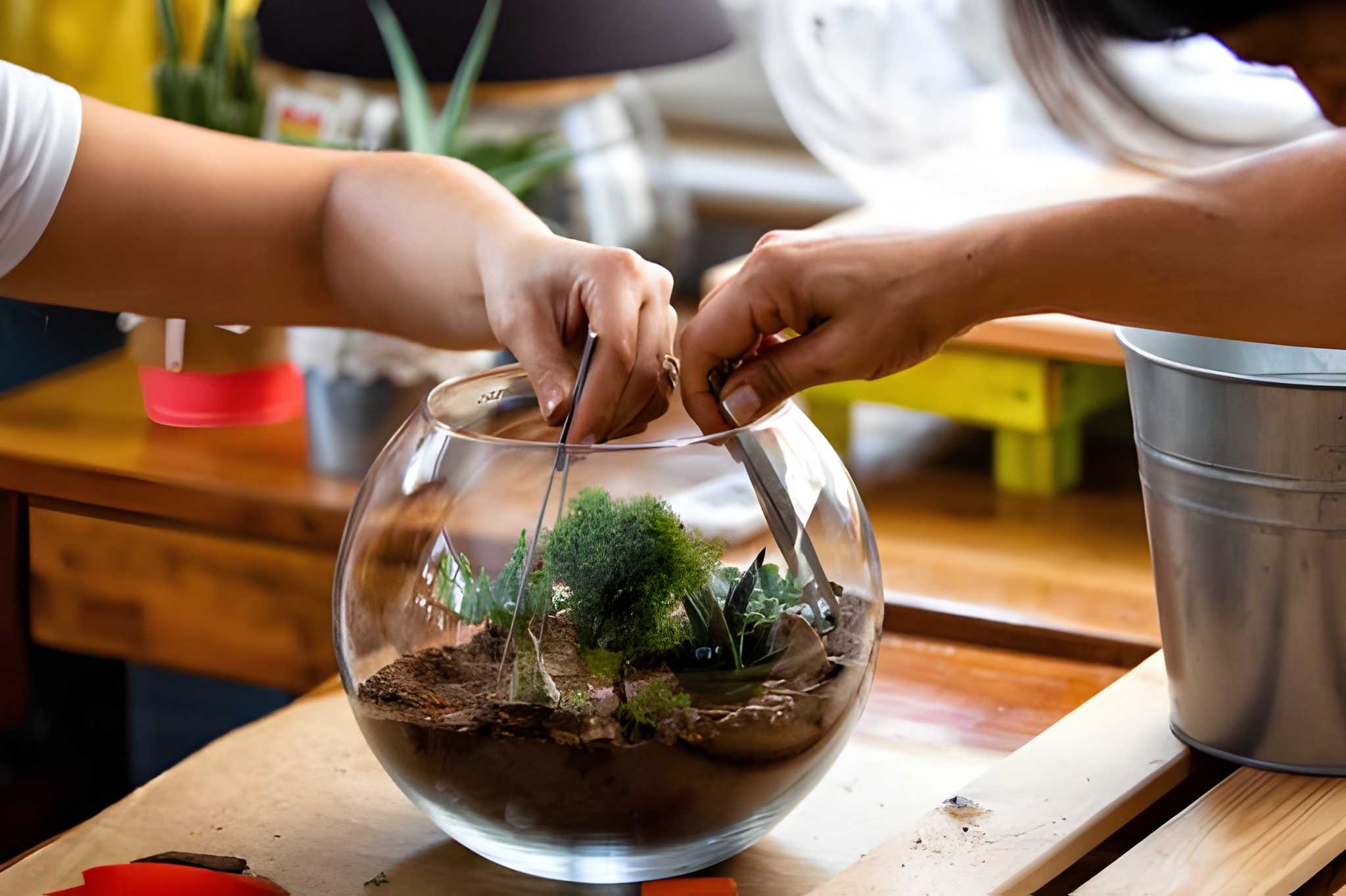 Terrarium Workshop